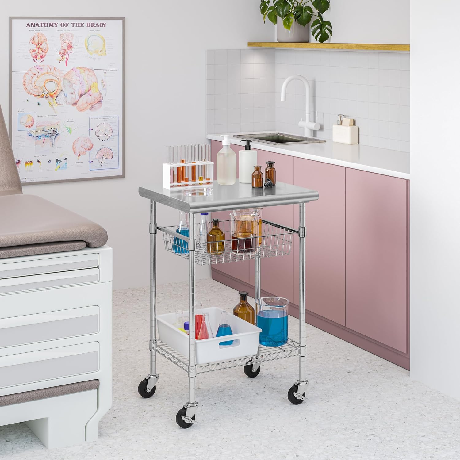 Edelstahl-Arbeitstischwagen fü – Commercial Kitchen On Wheels Bewertung und Preis